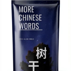 Learn Chinese Quizmaster Book 9 Brief Kindle-0