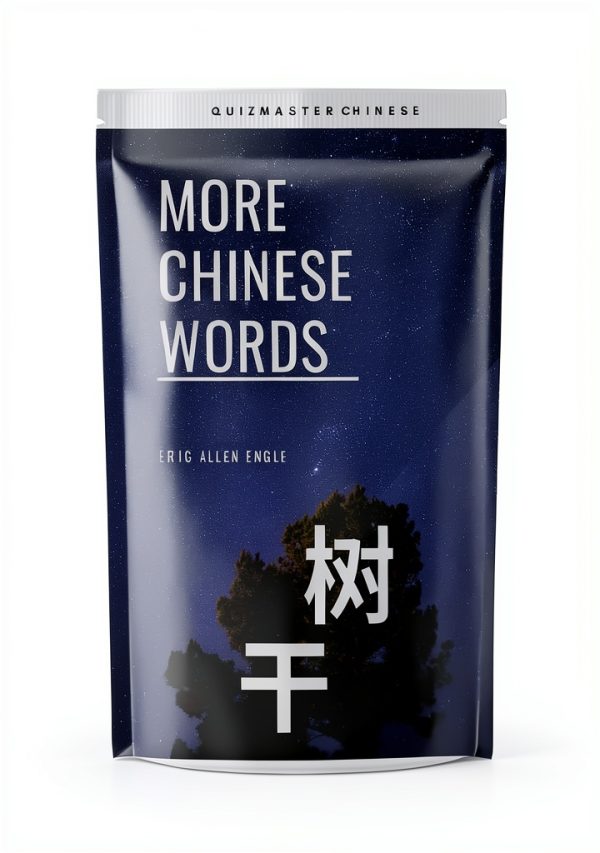 Learn Chinese Quizmaster Book 9 Brief Kindle-0
