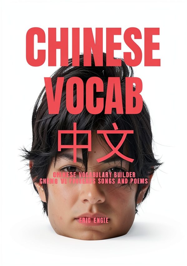 Learn Chinese Quizmaster Book 7 OSINT Brief Kindle-0