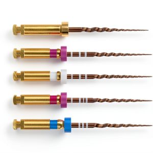 Dentsply A0409231G0103 ProTaper Gold Rotary Files Assortment Kit 31mm Sterile PTGRA31 6/Pk-0